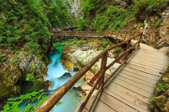 Apartma Ela Zgornje Gorje ภายนอก รูปภาพ